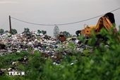 Ca Mau approves investment policy for waste-to-energy plant